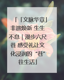 「文脉华章」非遗焕新 生生不息｜漫步六尺巷 感受礼让文化浸润的“巷”往生活